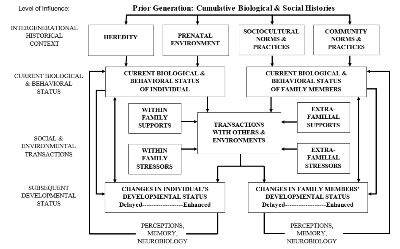 Figure 1. Biosocial Contextual Systems Framework (adapted from Ramey & Ramey, 1998)