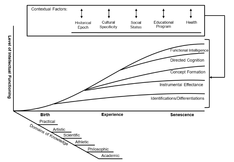 Figure 2. The Ramey-Blair Inductive model of intellectual development