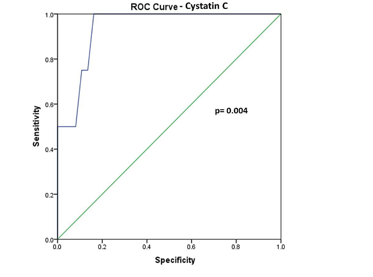 ROC Curve - RAI index