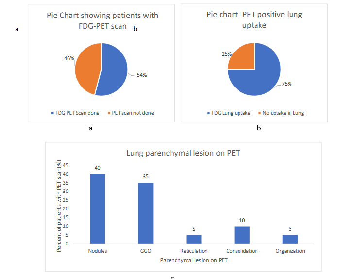 Pie chart- PET positive lung uptake