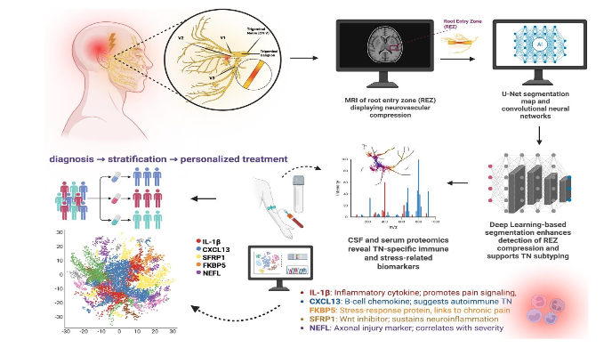 Table 1. Deep Learning Applications in Neuropathic Pain Imaging. Table summarizes key insights demonstrating the role of DL models in imaging-based diagnosis and prognostication of neuropathic pain conditions.