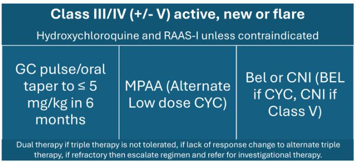 Management flowchart for Lupus Nephritis (adapted from American College of Rheumatology Guideline for Lupus Nephritis 2024).