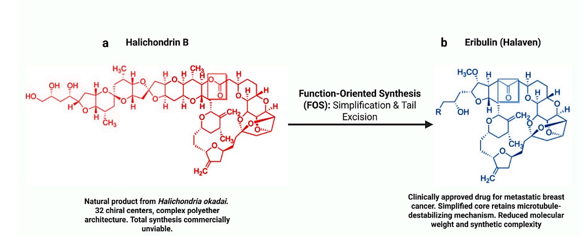 Figure 2 | Function-oriented simplification of Halichondrin B.