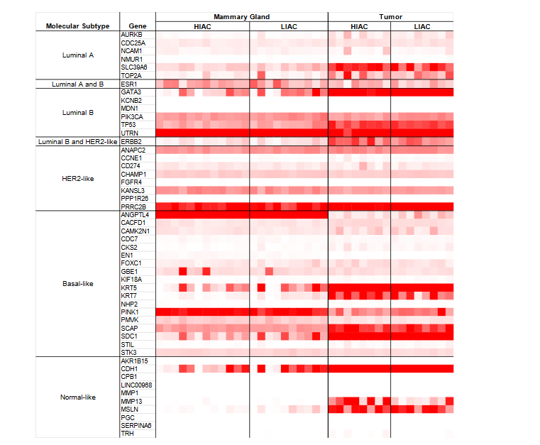 Figure 1. Molecular Subtypes of Breast Cancer: Luminal A, Luminal B, HER2-enriched, Basal-like, and Normal-like. Genes are grouped according to the specific subtype they represent. Darker red indicates a higher CPM expression value, while white indicates no expression detected.