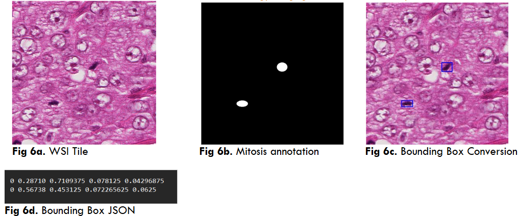 Fig 7a. WSI Tile Fig 7b. Mitosis Elliptical annotation Fig 7c. Bounding Box Conversion Fig 7d. Bounding Box JSON