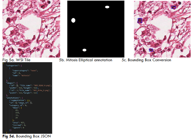 Fig 5a. WSI Tile 5b. Mitosis Elliptical annotation 5c. Bounding Box Conversion Fig 5d. Bounding Box JSON