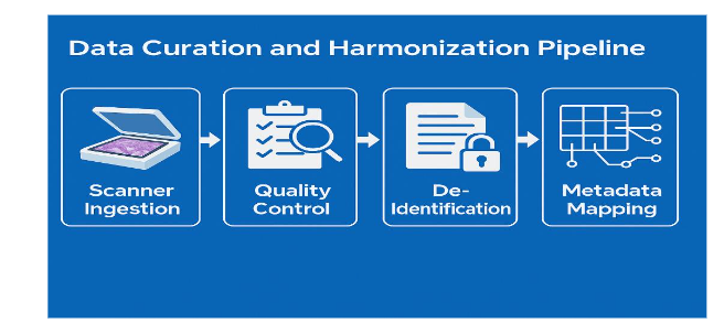 Data curation and harmonisation pipeline, including scanner ingestion, quality control, de-identification, and metadata mapping.