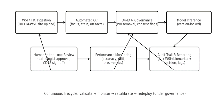 Governance and monitoring workflow.
