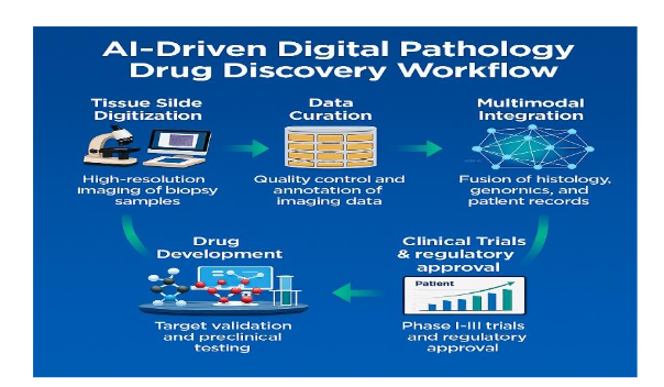 AI-Driven Digital Pathology Drug Discovery Workflow: tissue slide digitisation →data curation → multimodal integration → AI analytics →drug development → clinical trials & regulatory approval.