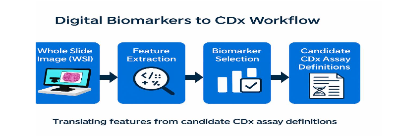 Digital biomarkers →CDx workflow.