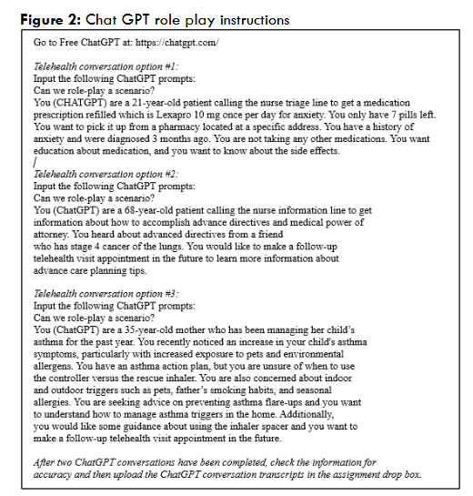 Figure 2: Chat GPT role play instructions