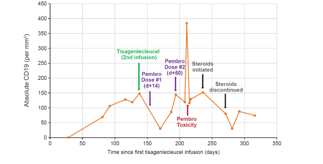 Figure 1. B-Cell response post tisagenlecleucel infusion. CD, cluster of differentiation; Pembro, pembrolizumab.