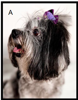 Figure I. Patient at treatment initiation with 14 years old.