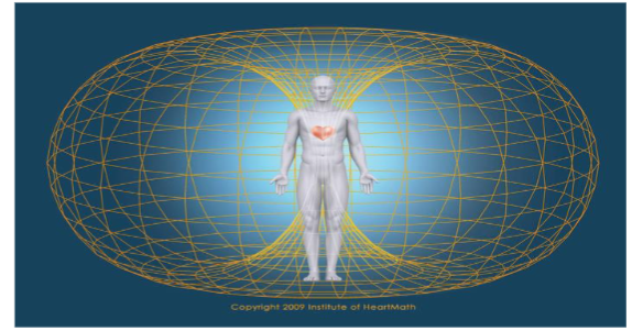Table 1. Environmental measures correlations. *p < 0.05, **p < 0.01.