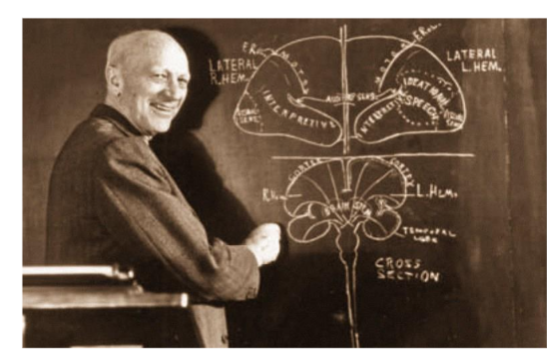 Figure 2. Wilder Penfield’s (1891–1976) historical conclusion after 30 years and thousands of brain surgeries in conscious individuals: I concluded that it is not possible to explain the mind on the basis of brain action alone. Evidence such as that I have considered here makes me believe that the mind is a distinct and different essence.