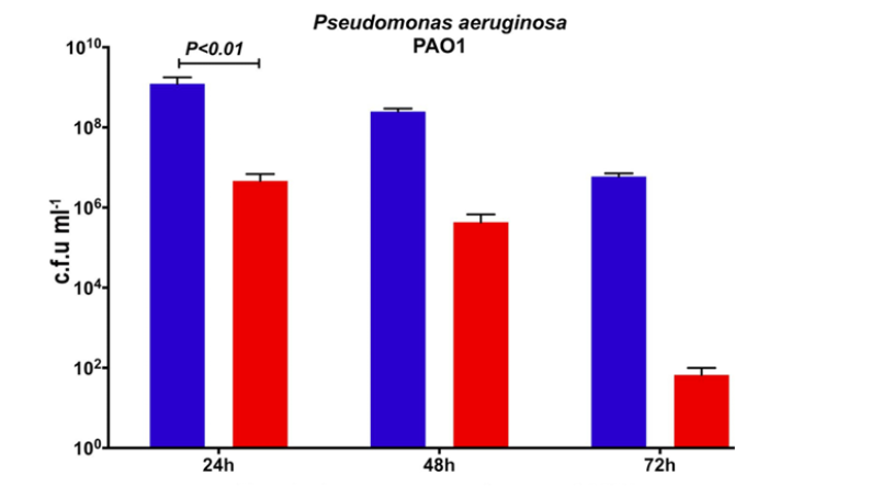In vivo bacteriological results of CPZO vs. Pseudomonas aeruginosa. Adapted from Bello-Lopez, et al., 2020. In Vitro Bactericidal Activity of a Carbohydrate Polymer with Zinc Oxide for the Treatment of Chronic Wounds. J Med Microbiol. 2020;69(5):874-880. (Red column: Pseudomonas growth. Blue column: control).