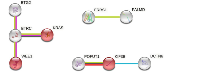 Figure 10 Genomic of the region surrounding one of the final 6 prognostic 3D genomic biomarkers