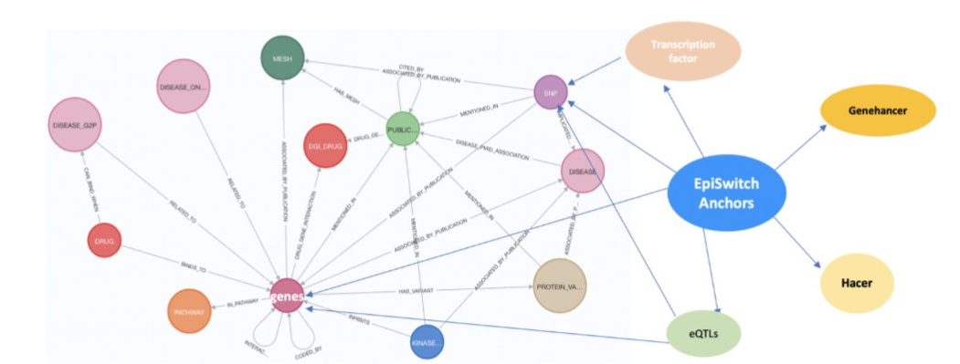 Figure 11 Using the EpiSwitch Data and Knowledge Graph Space to characterise the 77 3D genomic biomarkers associated with acute COVID infections