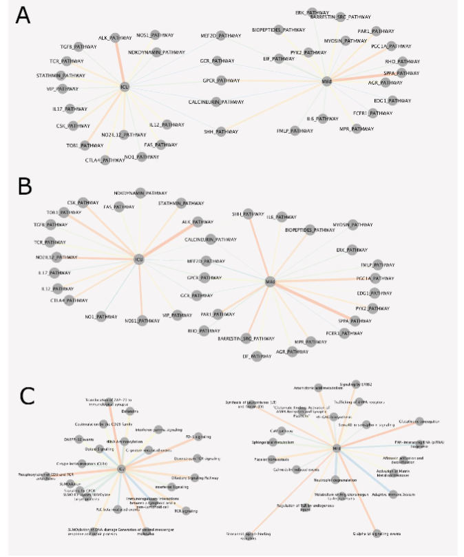 Figure 2 Mapping the most significant 3D genomic markers to biological pathways
