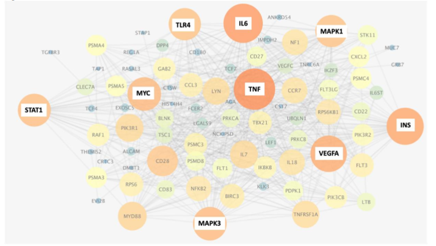 Figure 5 STRING Network associated with COVID-19 disease severity