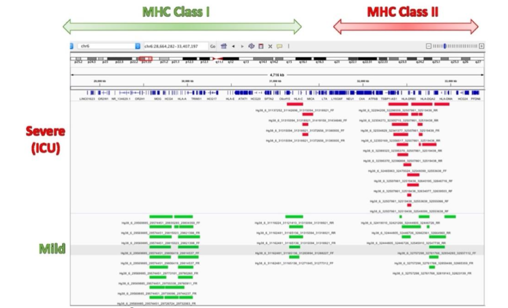 Figure 6 Map of EpiSwitch® biomarkers around MHC Class I and Class II regions on chromosome 6