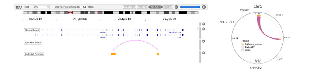 Figure 9 Genomic of the region surrounding one of the final 21 prognostic 3D genomic biomarkers