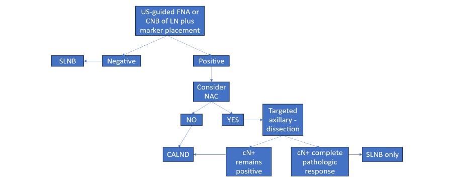 Figure 2: Current recommendations for axillary lymph node surgery.