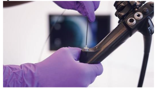 Borescope being inserted into the working channel of a flexible endoscope for visual inspection.
