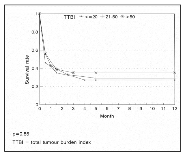 Survival rates observed in the three categories of tumor burden.