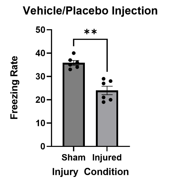 Figure 1: Freezing assessment of mice that were treated with the cannabinoid vehicle alone. Mann-Whitney U test revealed that injured mice froze significantly less than sham mice (p = 0.0079). Data are presented as mean + standard error of the mean; sham n = 5; injured n = 5.