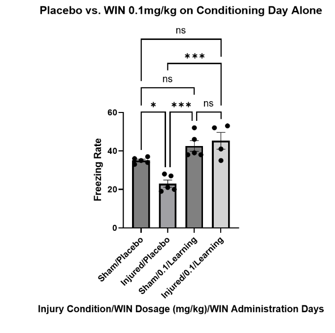 Figure 5: Freezing assessment of mice treated with vehicle on both conditioning and freezing assessment days vs. mice administered with WIN55, 212-2 at 0.1mg/kg on the conditioning/learning day only, with an injection of the cannabinoid vehicle on the freezing assessment day. Multiple comparisons one way ANOVA revealed that sham (n = 5) and injured (n = 4) mice treated with WIN at 0.1mg/kg only on the conditioning day did not freeze significantly differently than each other (p = 0.8915). Sham treated mice froze significantly more than injured/placebo (p = 0.0003) while not freezing significantly more than sham/placebo (p = 0.1793). Injured treated mice saw a similar effect freezing significantly more than injured/placebo (p = 0.0001) while not freezing significantly more than sham/placebo (p = 0.0643). Data are presented as mean + standard error of the mean.