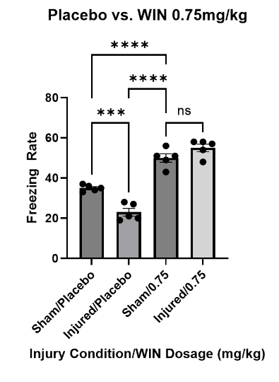 Figure 2: Freezing assessment of mice treated with vehicle and mice treated with WIN55, 212-2 at 0.75mg/kg. Multiple comparisons one way ANOVA revealed that there was no significant difference between sham (n = 5) and injured (n = 5) mice treated at 0.75mg/kg (p = 0.2144). Sham/0.75 froze significantly more than sham/placebo (p < 0.0001) and injured/placebo (p < 0.0001). Injured/0.75 followed a similar trend as sham/0.75 mice: significantly more than sham/placebo (p < 0.0001) and injured/placebo (p < 0.0001). Data are presented as mean + standard error of the mean.