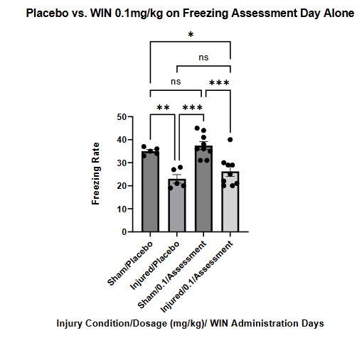 Figure 6: Freezing assessment of mice treated with vehicle on both conditioning and freezing assessment days vs. mice administered with WIN55, 212-2 at 0.1mg/kg on the freezing assessment day only, with an injection of the cannabinoid vehicle on the conditioning/learning day. Multiple comparisons one way ANOVA revealed that sham (n = 9) and injured (n = 9) treated with WIN did freeze significantly different from each other (p = 0.0006). Sham treated mice did not freeze significantly more than sham placebo treated mice (p = 0.8273) but did freeze significantly more than injured placebo treated mice (p = 0.0002). Injured treated mice did freeze significantly less than sham/placebo (p = 0.0251) but did not freeze significantly differently than injured/placebo (p = 0.6764).