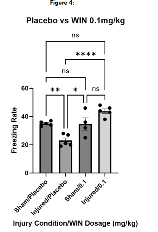 Figure 4: Freezing assessment of mice treated with vehicle and mice treated with WIN55, 212-2 at 0.1mg/kg. Multiple comparisons one way ANOVA revealed that there was no significant difference between sham (n = 4) and injured (n = 5) mice treated at 0.1mg/kg (p = 0.0822). Sham/0.1 did not freeze significantly more than sham/placebo (p > 0.9999), while freezing significantly more than injured/placebo (p = 0.0152). Injured/0.1 followed a similar trend as sham/0.1: not freezing significantly more than sham/placebo (p = 0.0695) while freezing significantly more than injured/placebo (p < 0.0001). Data are presented as mean + standard error of the mean.