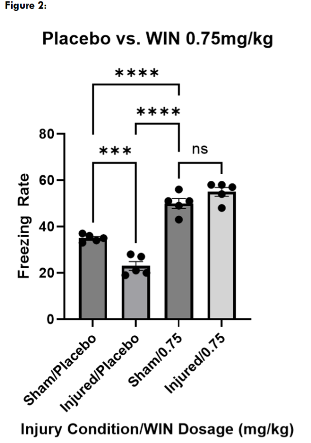 Figure 2: Freezing assessment of mice treated with vehicle and mice treated with WIN55, 212-2 at 0.75mg/kg. Multiple comparisons one way ANOVA revealed that there was no significant difference between sham (n = 5) and injured (n = 5) mice treated at 0.75mg/kg (p = 0.2144). Sham/0.75 froze significantly more than sham/placebo (p < 0.0001) and injured/placebo (p < 0.0001). Injured/0.75 followed a similar trend as sham/0.75 mice: significantly more than sham/placebo (p < 0.0001) and injured/placebo (p < 0.0001). Data are presented as mean + standard error of the mean.