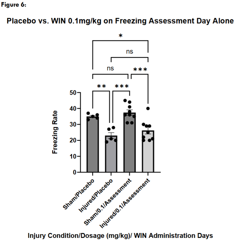 Figure 6: Freezing assessment of mice treated with vehicle on both conditioning and freezing assessment days vs. mice administered with WIN55, 212-2 at 0.1mg/kg on the freezing assessment day only, with an injection of the cannabinoid vehicle on the conditioning/learning day. Multiple comparisons one way ANOVA revealed that sham (n = 9) and injured (n = 9) treated with WIN did freeze significantly different from each other (p = 0.0006). Sham treated mice did not freeze significantly more than sham placebo treated mice (p = 0.8273) but did freeze significantly more than injured placebo treated mice (p = 0.0002). Injured treated mice did freeze significantly less than sham/placebo (p = 0.0251) but did not freeze significantly differently than injured/placebo (p = 0.6764).