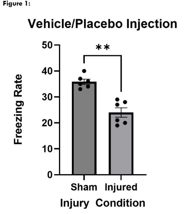 Figure 1: Freezing assessment of mice that were treated with the cannabinoid vehicle alone. Mann-Whitney U test revealed that injured mice froze significantly less than sham mice (p = 0.0079). Data are presented as mean + standard error of the mean; sham n = 5; injured n = 5.