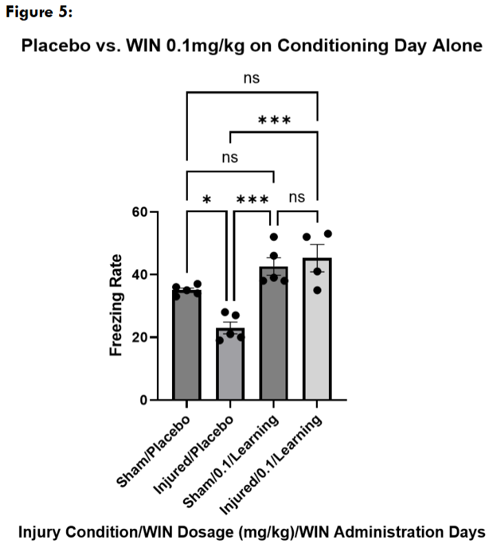 Figure 5: Freezing assessment of mice treated with vehicle on both conditioning and freezing assessment days vs. mice administered with WIN55, 212-2 at 0.1mg/kg on the conditioning/learning day only, with an injection of the cannabinoid vehicle on the freezing assessment day. Multiple comparisons one way ANOVA revealed that sham (n = 5) and injured (n = 4) mice treated with WIN at 0.1mg/kg only on the conditioning day did not freeze significantly differently than each other (p = 0.8915). Sham treated mice froze significantly more than injured/placebo (p = 0.0003) while not freezing significantly more than sham/placebo (p = 0.1793). Injured treated mice saw a similar effect freezing significantly more than injured/placebo (p = 0.0001) while not freezing significantly more than sham/placebo (p = 0.0643). Data are presented as mean + standard error of the mean.