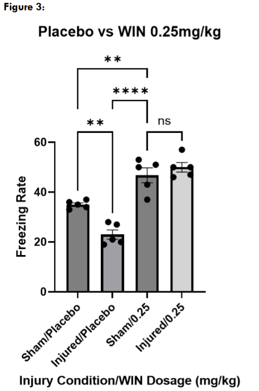 Figure 3: Freezing assessment of mice treated with vehicle and mice treated with WIN55, 212-2 at 0.25mg/kg. Multiple comparisons one way ANOVA revealed that there was no significant difference between sham (n = 5) and injured (n = 5) mice treated at 0.25mg/kg (p = 0.6872). Sham/0.25 froze significantly more than sham/placebo (p = 0.0042) and injured/placebo (p < 0.0001). Injured/0.25 followed a similar trend as sham/0.25: significantly more than sham/placebo (p = 0.0004) and injured/placebo (p < 0.0001). Data are presented as mean + standard error of the mean.