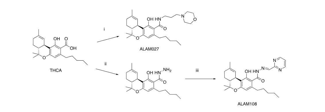 Figure 2. Synthesis of ALAM027 and ALAM108: i - 3-morpholinopropan-1-amine, CDI, THF; ii - hydrazine hydrate, CDI, THF; iii - pyrimidine-2-carbaldehyde, EtOH, reflux.