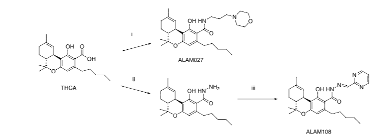 Figure 2. Synthesis of ALAM027 1 and ALAM108 2: i - 3-morpholinopropan-1-amine, CDI, THF; ii - hydrazine hydrate, CDI, THF; iii - pyrimidine-2-carbaldehyde, EtOH, reflux.