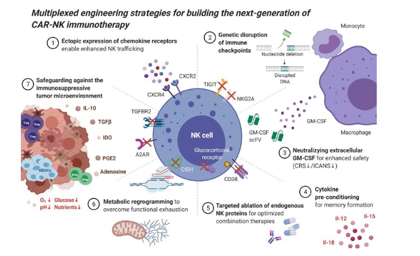 Figure 2 Engineering strategies for effective CAR NK immunotherapy design (adapted from Bierdestadt and Rezvanni)