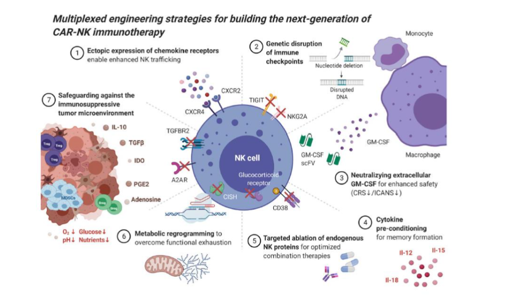 Figure 2 Engineering strategies for effective CAR NK immunotherapy design (adapted from Bierdestadt and Rezvanni)