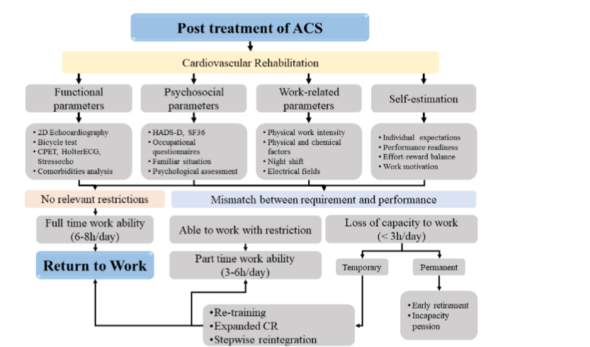 Return to work consideration algorithm after ACS event (adapted from Reibis et al.2019)