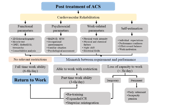 Figure 1. Return to work consideration algorithm after ACS event (adapted from Reibis et al.2019).