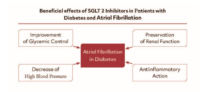 Figure 3: Beneficial Effects of SGTL 2-Inhibitors in Patients with Diabetes and Atrial Fibrillation. These effects can be explained by several mechanisms including Improvement Glycemic Control, Decrease of High Blood Pressure, Preservation of Renal Function and Antiinflammatory Action.