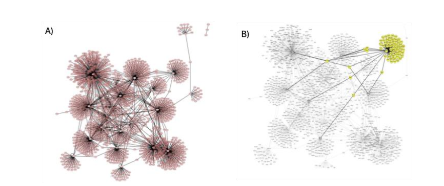 Figure 2. Protein-protein interactome network associated with up-accumulated proteins, showing 22 well-defined groups, 1547 nodes, and 1846 edges. (A). Proteins connected directly or indirectly to other subnetwork centers (B).