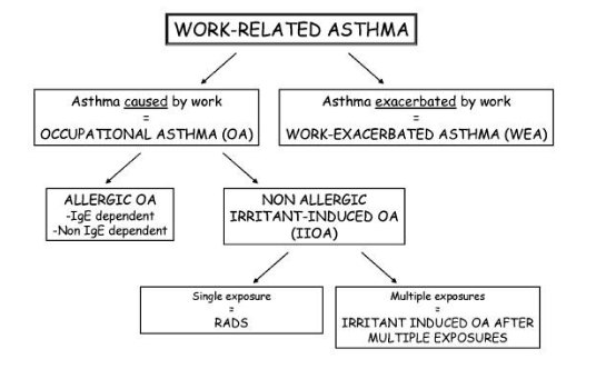 Figure 1. Classification of work-related asthma.