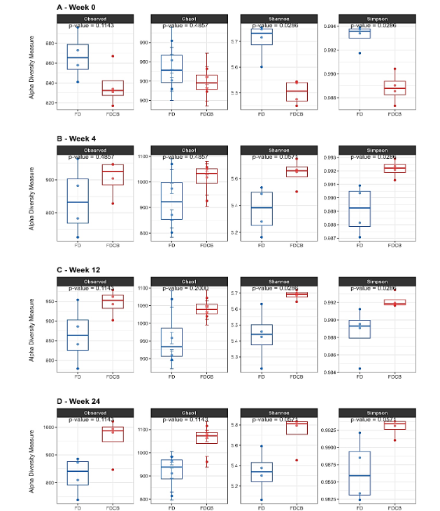 Figure 2. Alpha diversity metrics analysis. ASVs Observed, Chao1, Shannon, and Simpson at four time points: Week 0 (A), Week 4 (B), Week 12 (C) and Week 24 (D).