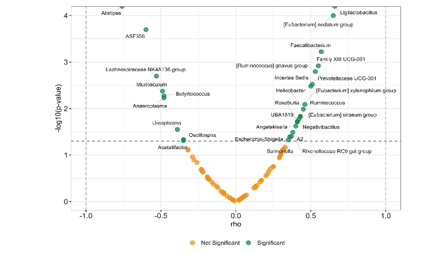 Figure 9. Spearman correlation analysis between the relative abundance of bacterial genera and body weight across all samples. Each point represents a genus, plotted according to its Spearman rho coefficient (x-axis) and the statistical significance (log₁₀ p-value; y-axis). Genera with significant correlations (p < 0.05) are highlighted in green, while non-significant correlations are shown in orange. Positive correlations are located on the right and negative correlations on the left.